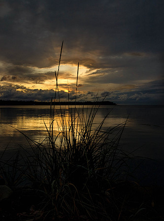 Pacific Sunset
