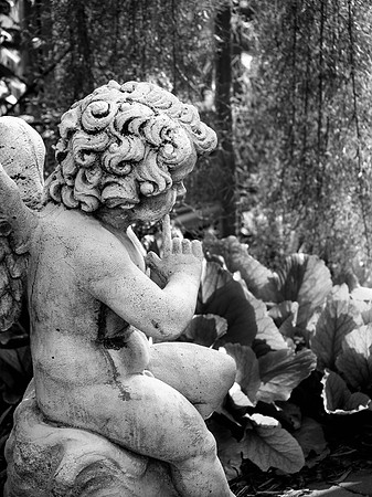 Garden Cherub