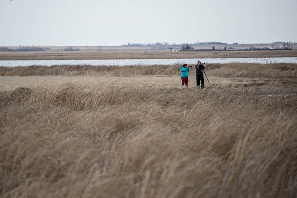 birder/photogs
