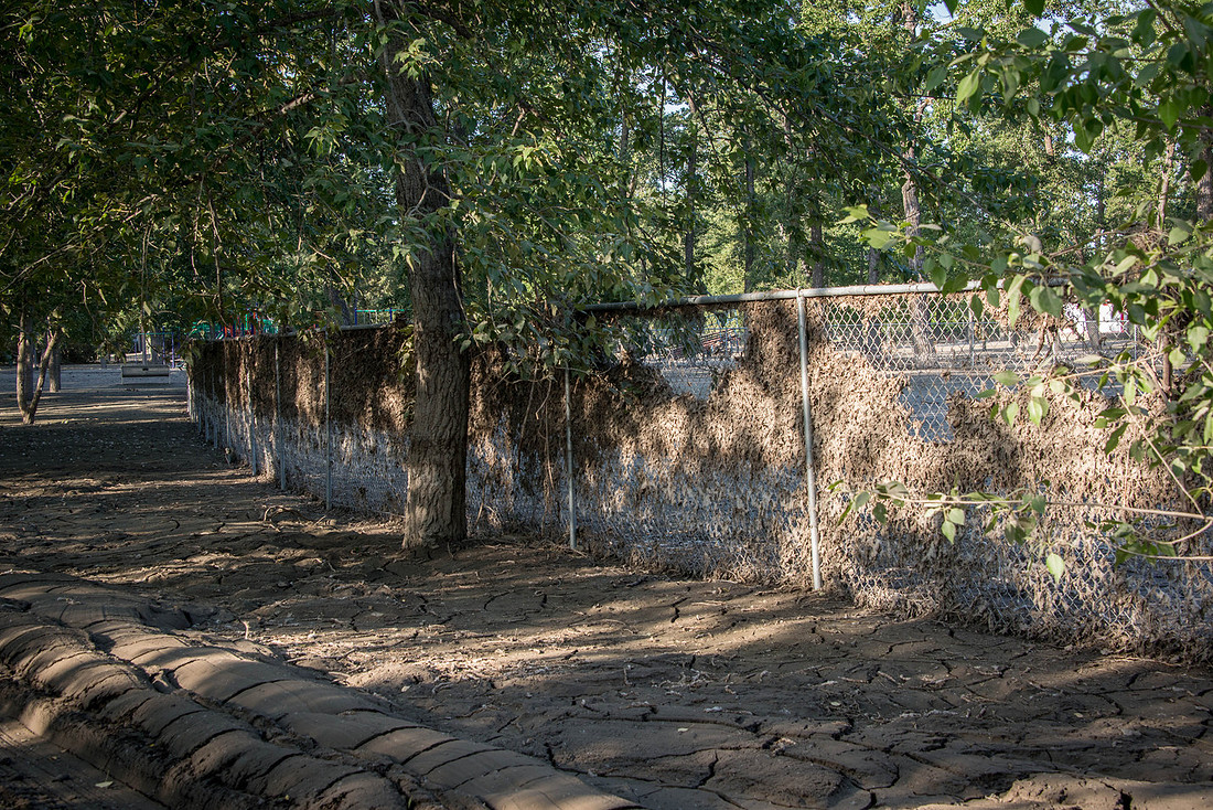 Outfield fence at the ball diamond in George Lane.