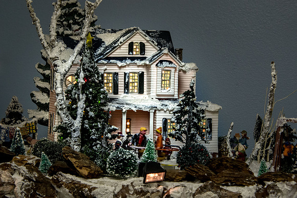 DSC_6224