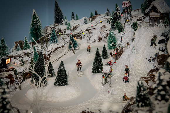 DSC_6233