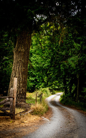 Road Less Travelled
