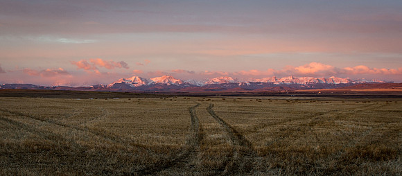 Pink Mountains