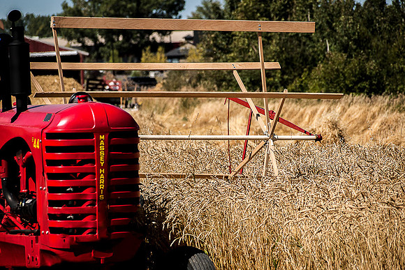 Threshing Bee-3