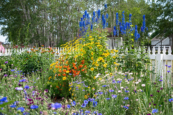 Garden-6
