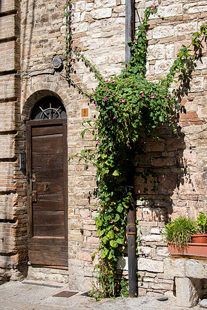 Assisi - 5