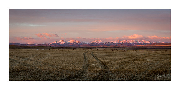 10x20_Pink Mountain $40.00