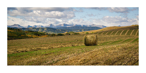 10 x 20 Putting Up Bales $40.00