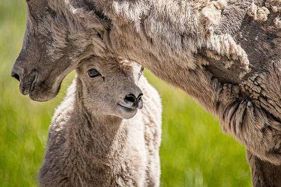 Mom & Kid
