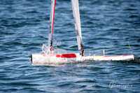 IOM-17
