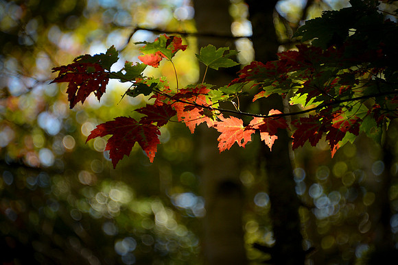 Sunlight finding it's way