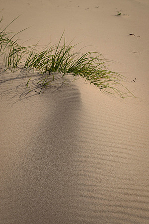 The beginning of a dune
