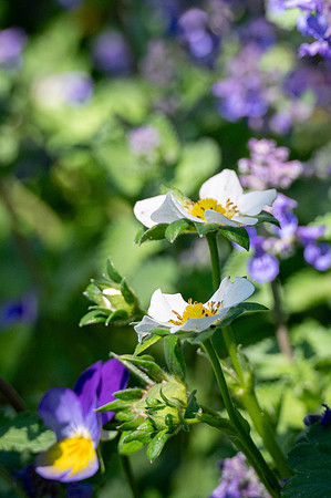 June_4-5