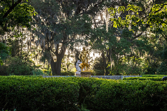 Brookgreen-7