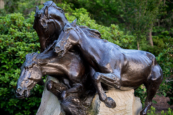 Brookgreen-15