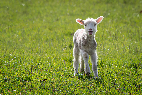Must be Spring