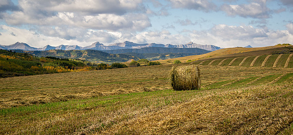 Time to bale