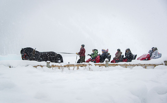 Lake Louise Sleigh Ride