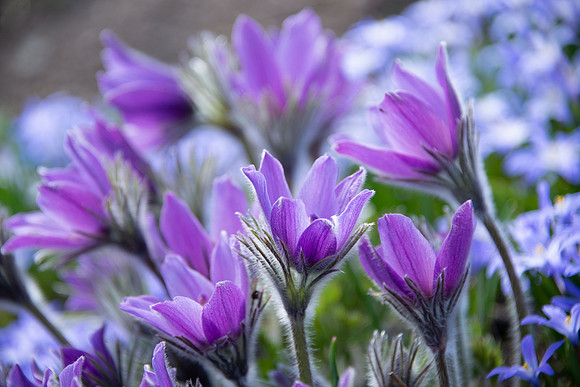 DSC_2173