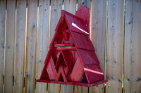 Prock-5