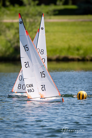 IOM-15