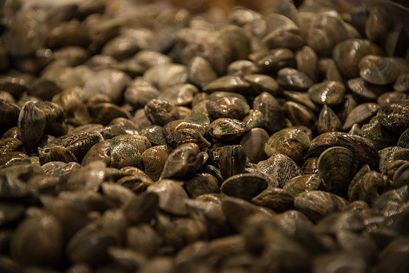 Cockles and Mussels Alive, Alive O