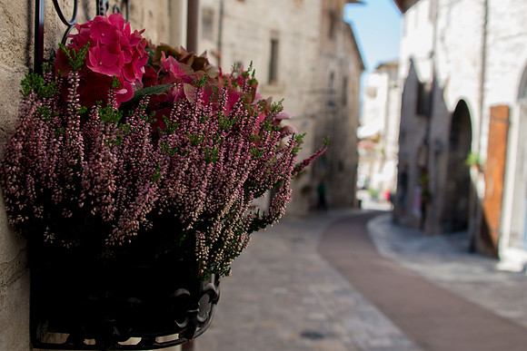 Assisi - 2