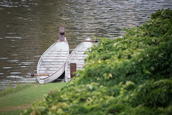 DSC_2255