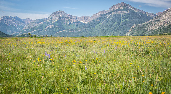 Waterton National Park