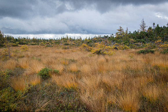 Cape Breton Highlands National Park