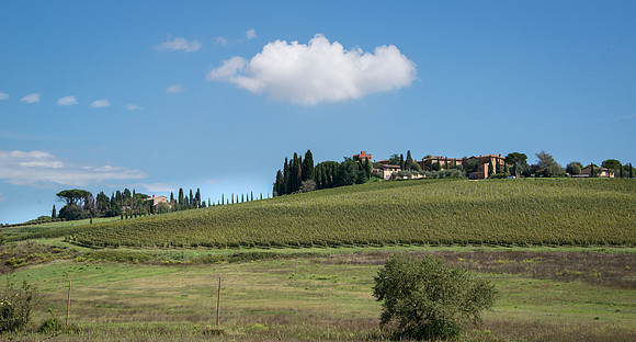 Montepulciano - 1