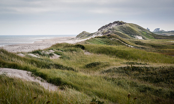 Along the Coastal Drive, PEI